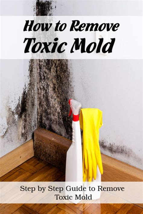 A Magical Solution for Mold: Spells and Incantations